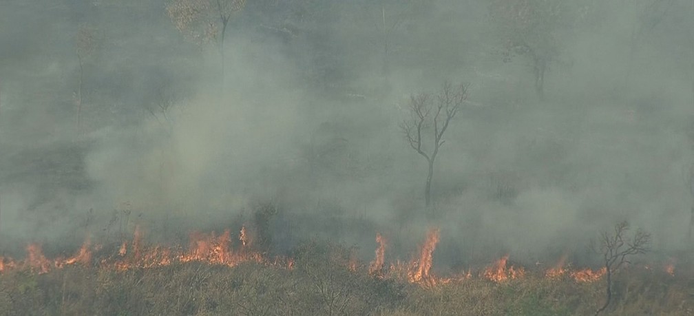 Moradores de Sabará inconformados denunciam incêndios em mata