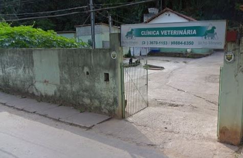 Bicho Mineiro Banho e Tosa PetShop - EM Sabará