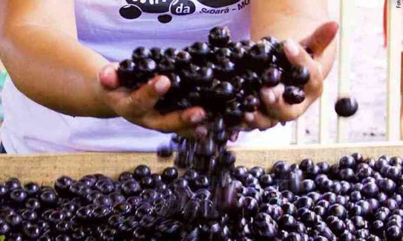 Festival da Jabuticaba, retorna de forma presencial em Sabará