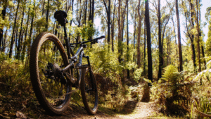 39º Festival da Jabuticaba de Sabará começa nesta quinta com gastronomia, cultura e atrações para toda a família