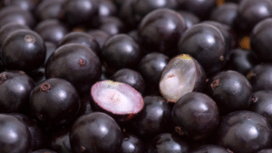 39º Festival da Jabuticaba de Sabará começa nesta quinta com gastronomia, cultura e atrações para toda a família